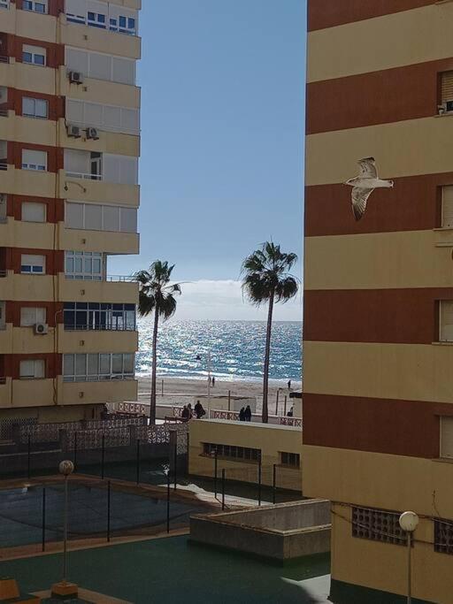 Alegrias De Cadiz By Gades Gestion Apartment Exterior photo